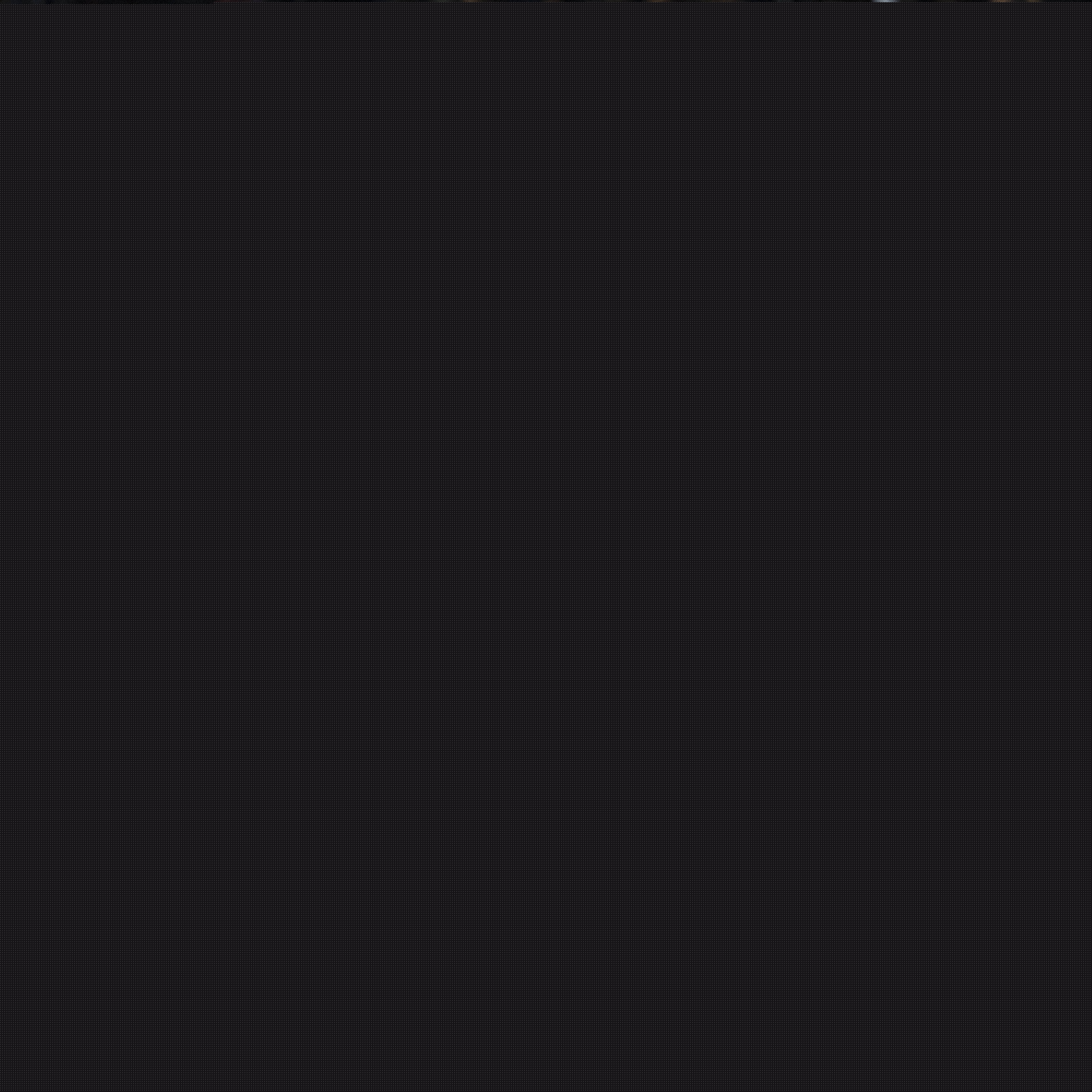 如何共存並