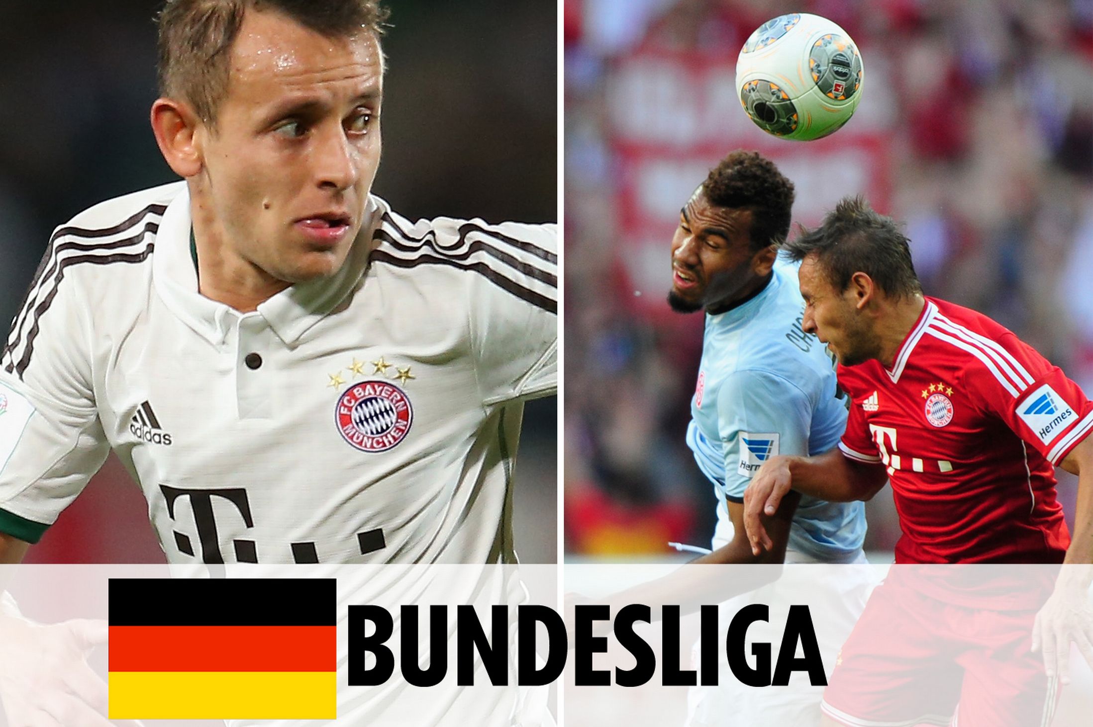 领域的国际 领域的国际